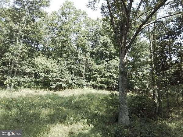 6.18 Acres of Land for Sale in Flintstone, Maryland