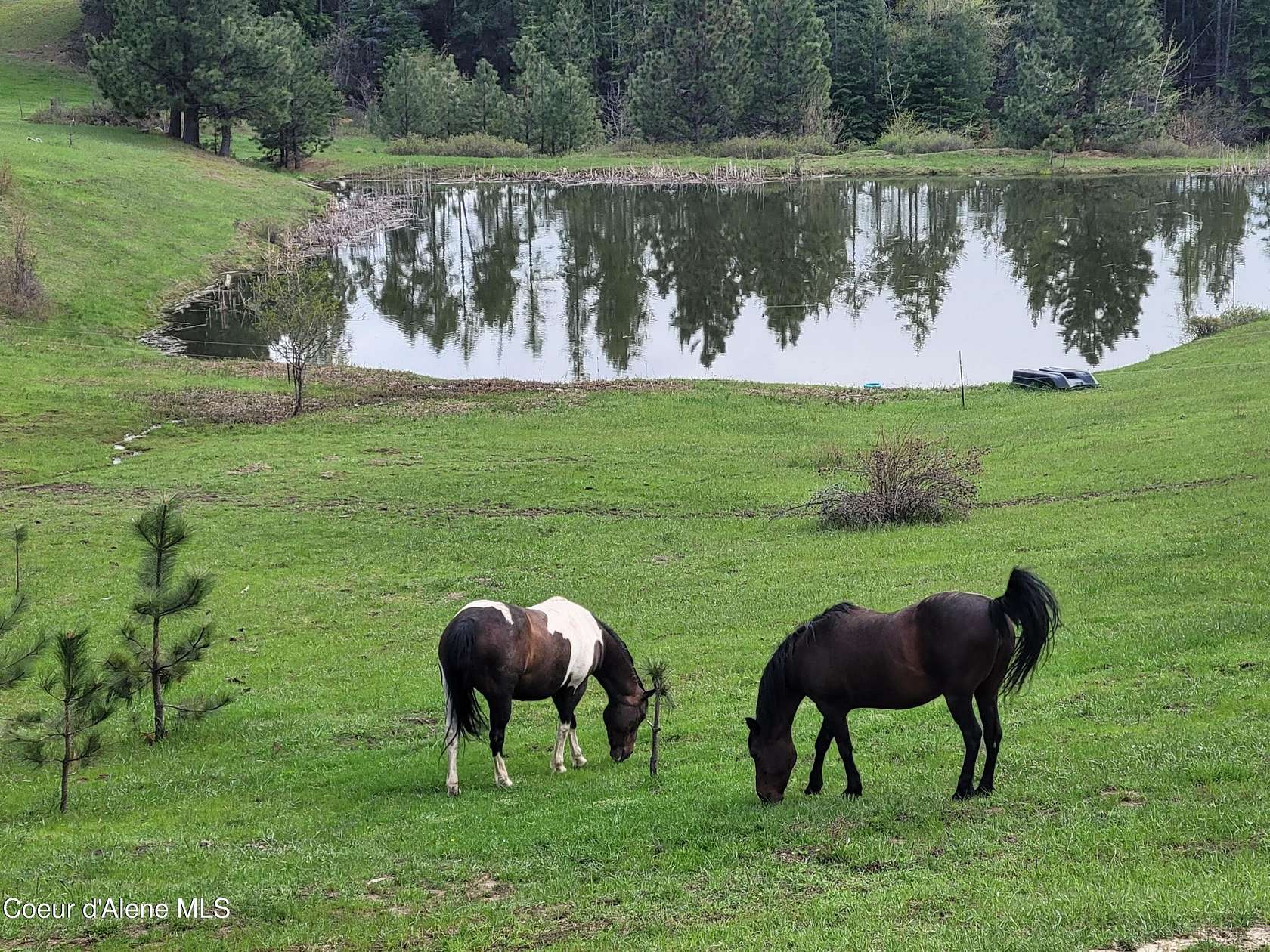 40 Acres of Agricultural Land with Home for Sale in St. Maries, Idaho