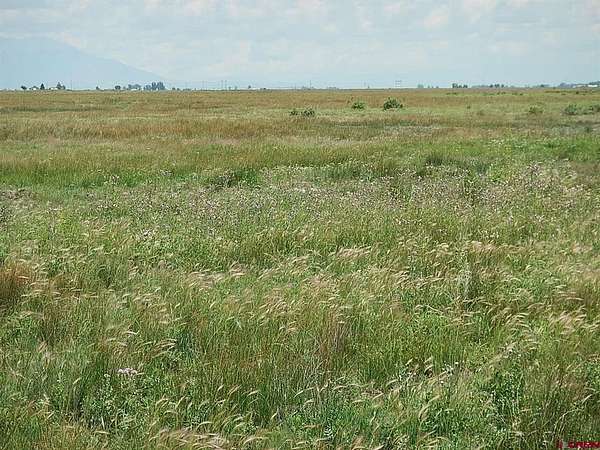 81.4 Acres of Agricultural Land for Sale in Monte Vista, Colorado