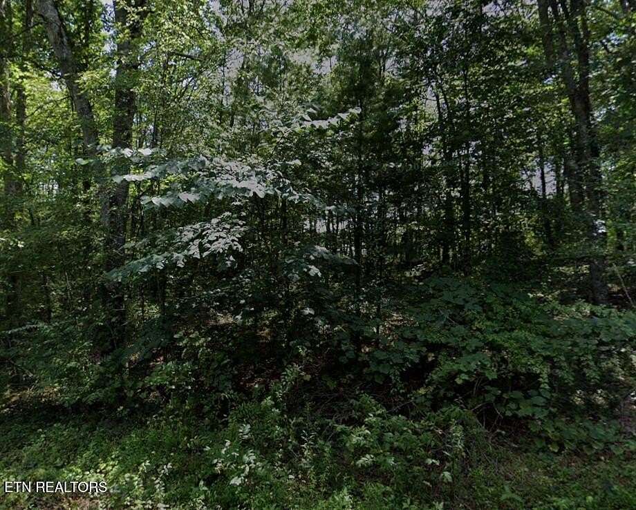 0.25 Acres of Residential Land for Sale in Crossville, Tennessee