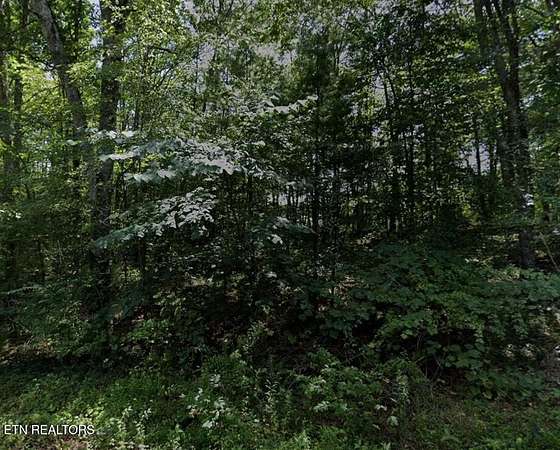 0.25 Acres of Residential Land for Sale in Crossville, Tennessee