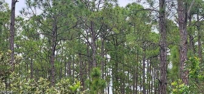 0.13 Acres of Land for Sale in Punta Gorda, Florida