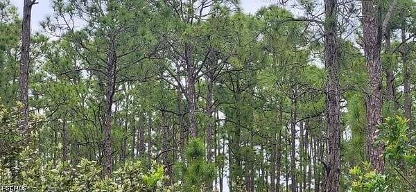 0.13 Acres of Land for Sale in Punta Gorda, Florida