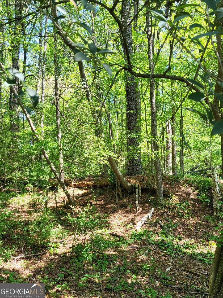 0.3 Acres of Land for Sale in Atlanta, Georgia