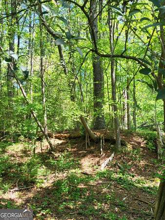 0.3 Acres of Land for Sale in Atlanta, Georgia