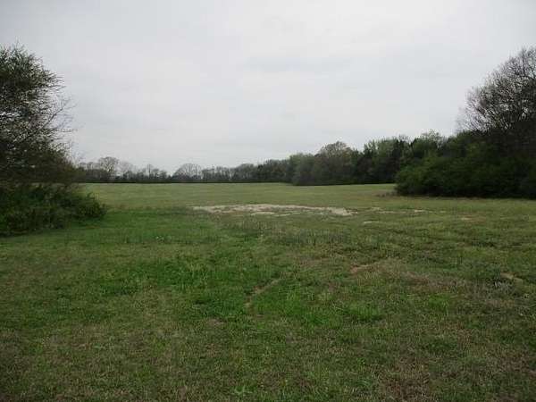 19 Acres of Land for Sale in Rogersville, Alabama