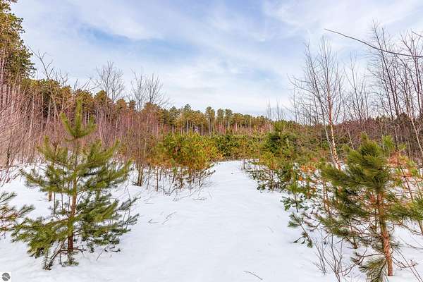10 Acres of Recreational & Residential Land for Sale in Frankfort, Michigan