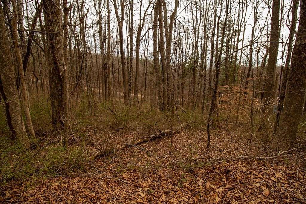 0.34 Acres of Residential Land for Sale in Copper Hill, Virginia