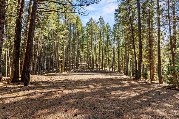 1.26 Acres of Land for Sale in Cascade, Idaho