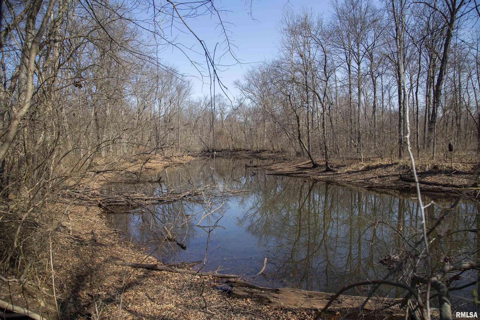 149 Acres of Improved Recreational Land for Sale in Nebo, Illinois