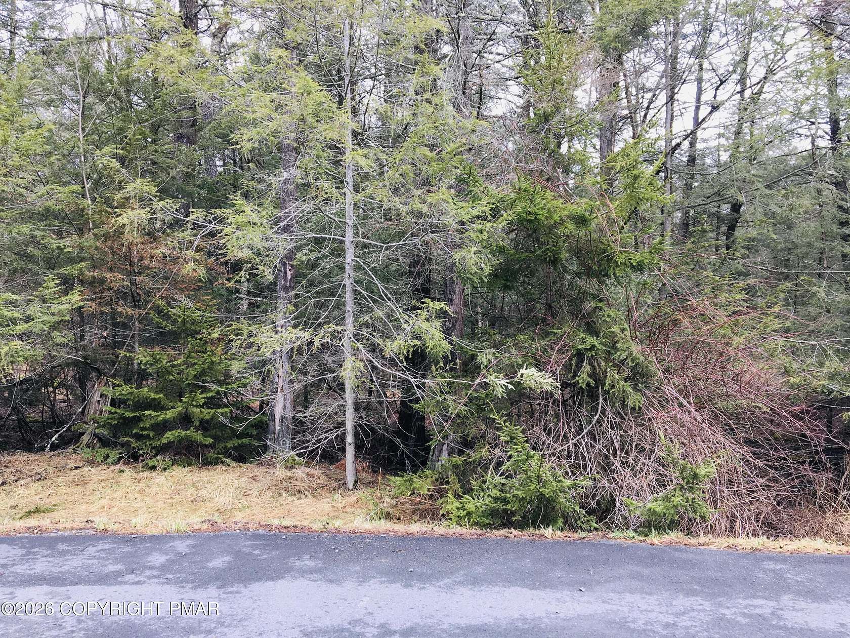 0.84 Acres of Residential Land for Sale in Pocono Lake, Pennsylvania