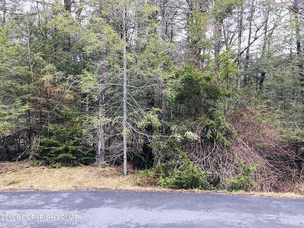 0.84 Acres of Residential Land for Sale in Pocono Lake, Pennsylvania