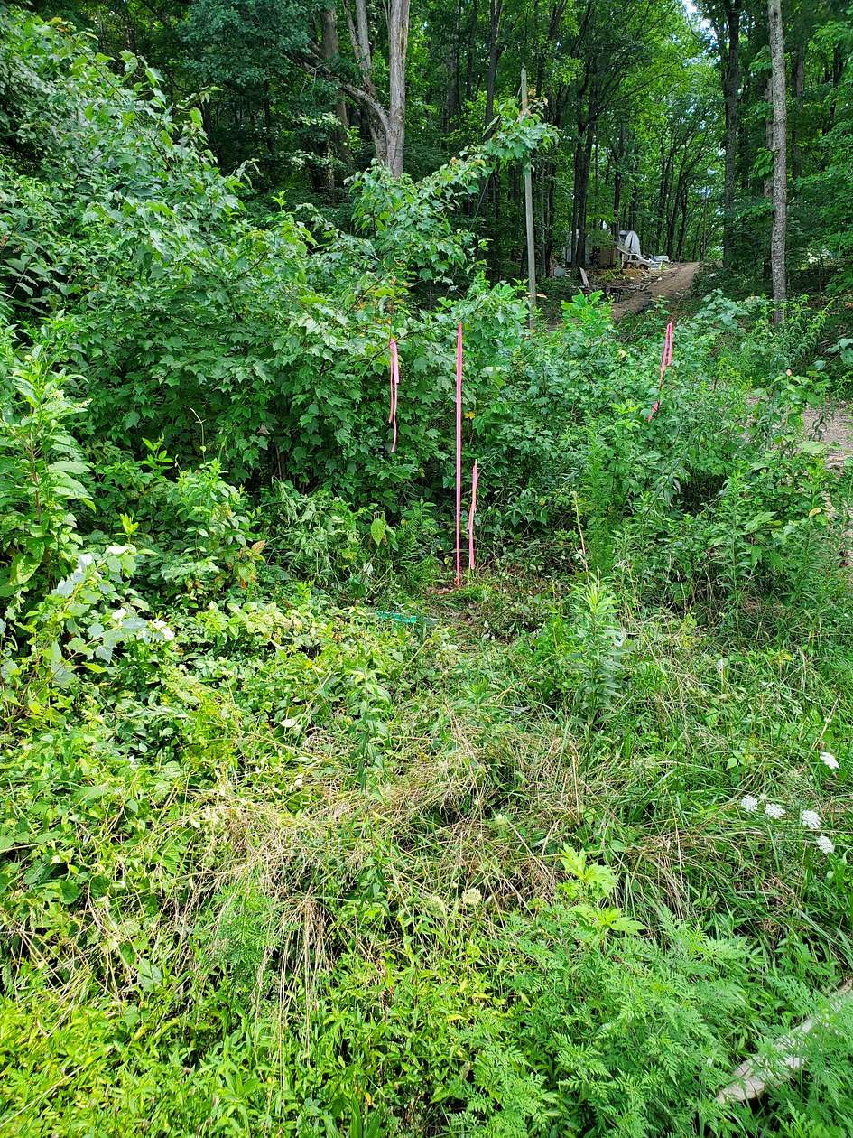 5 Acres of Residential Land for Sale in Niota, Tennessee