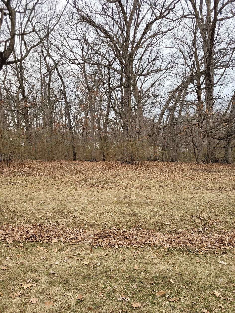 0.44 Acres of Residential Land for Sale in Davis, Illinois