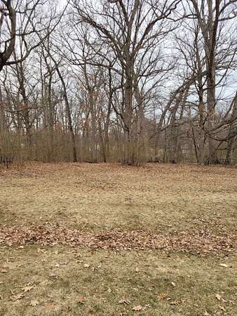 0.44 Acres of Residential Land for Sale in Davis, Illinois
