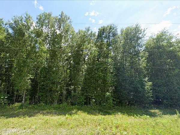 0.78 Acres of Residential Land for Sale in Arabi, Georgia