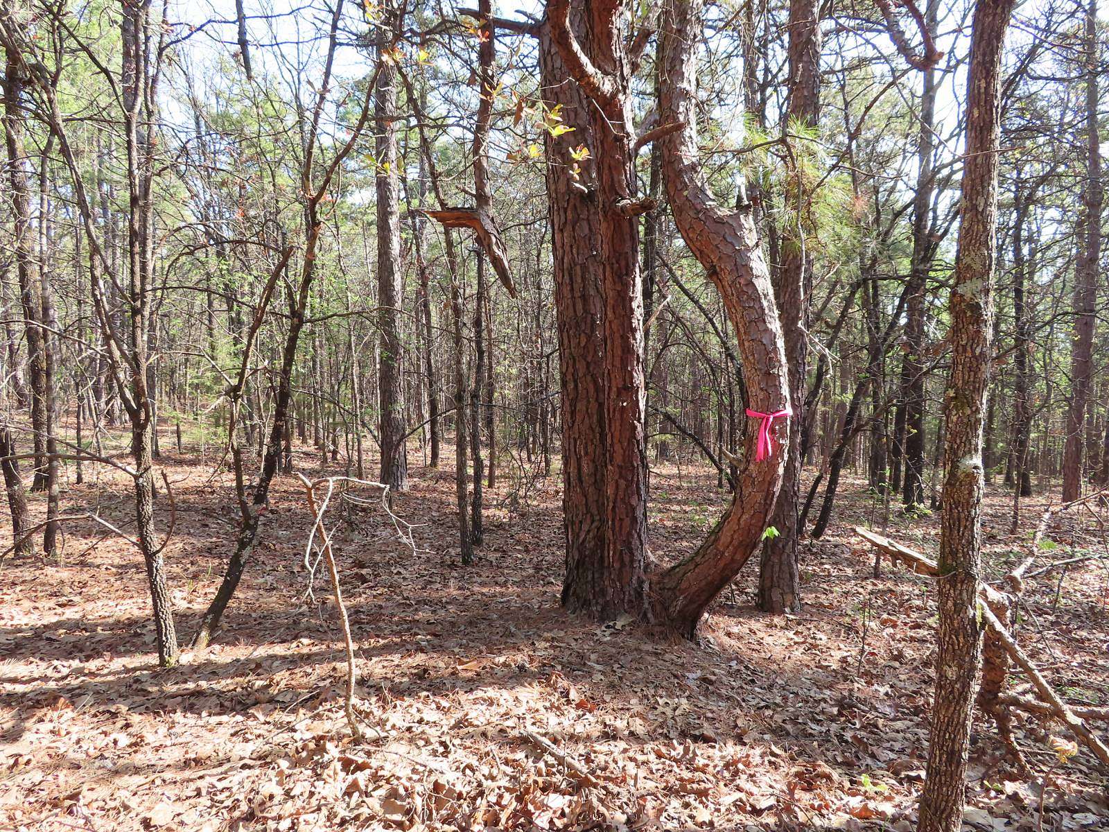 10 Acres of Recreational Land for Sale in Red Oak, Oklahoma