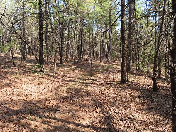 5 Acres of Recreational Land for Sale in Red Oak, Oklahoma