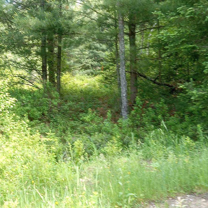 17.4 Acres of Recreational & Residential Land for Sale in Stratford, New York