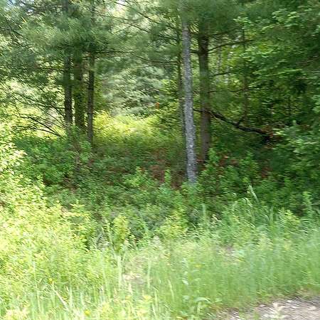 17.4 Acres of Recreational & Residential Land for Sale in Stratford, New York