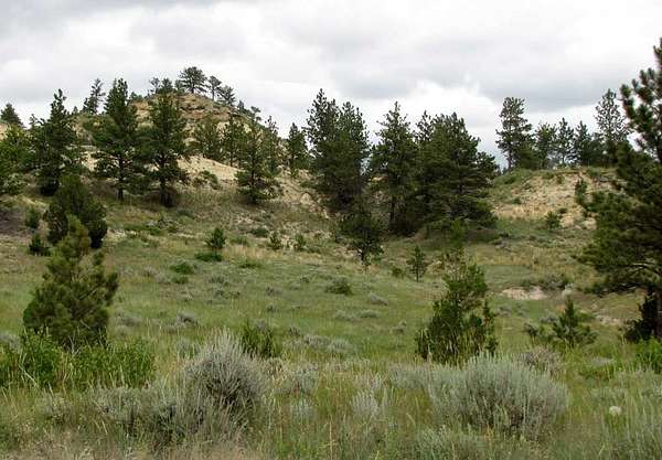 20.1 Acres of Recreational Land for Sale in Miles City, Montana