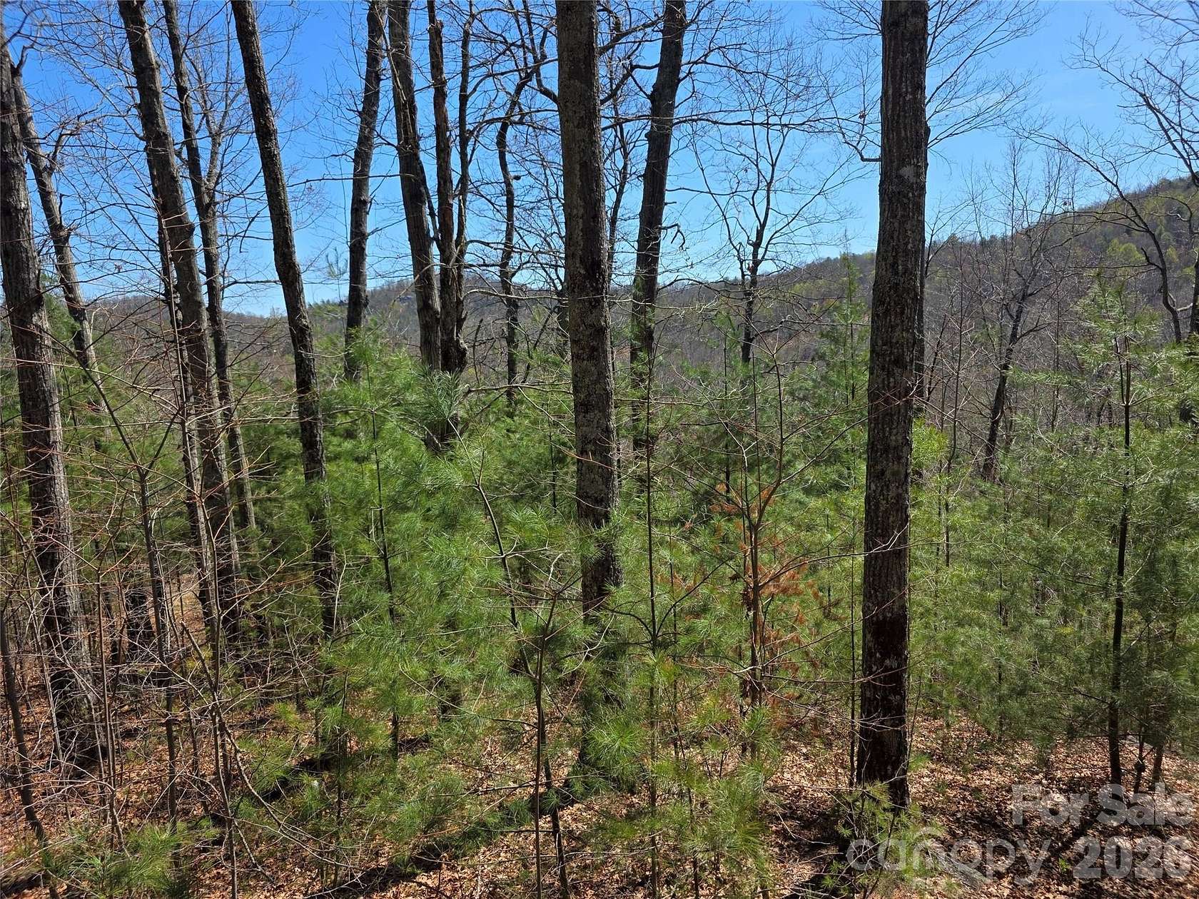 6.42 Acres of Residential Land for Sale in Saluda, North Carolina