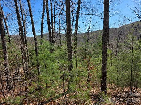 6.42 Acres of Residential Land for Sale in Saluda, North Carolina