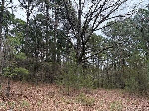 40 Acres of Recreational & Residential Land for Sale in Clarksville, Arkansas