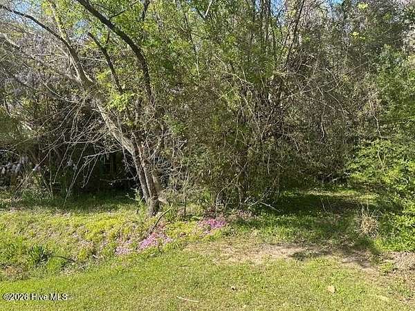 0.79 Acres of Residential Land for Sale in Hallsboro, North Carolina