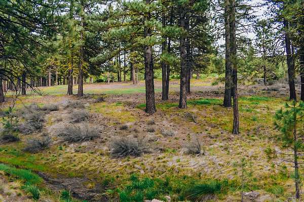 1.19 Acres of Residential Land for Sale in Portola, California