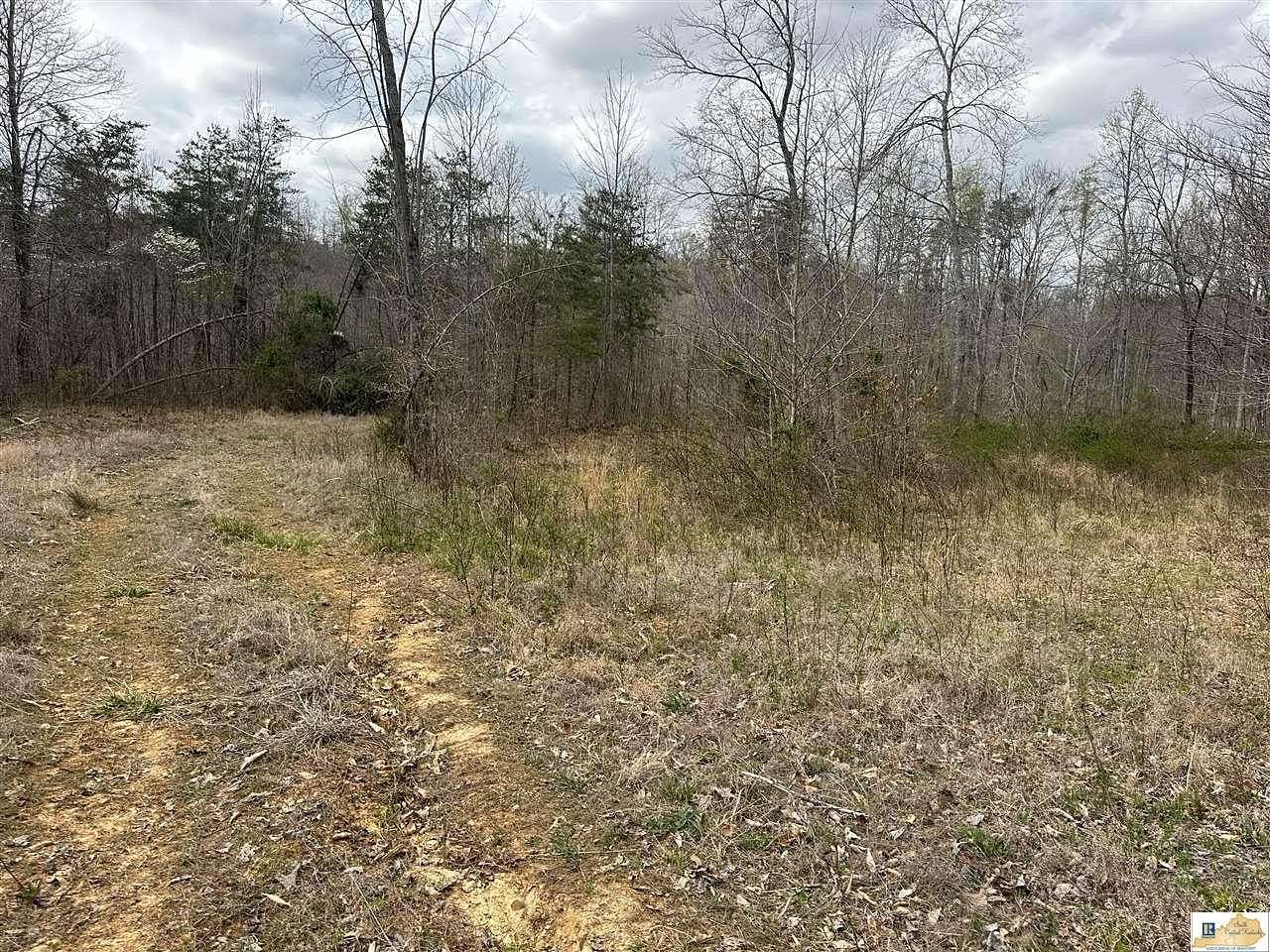 40.5 Acres of Land for Sale in Tompkinsville, Kentucky