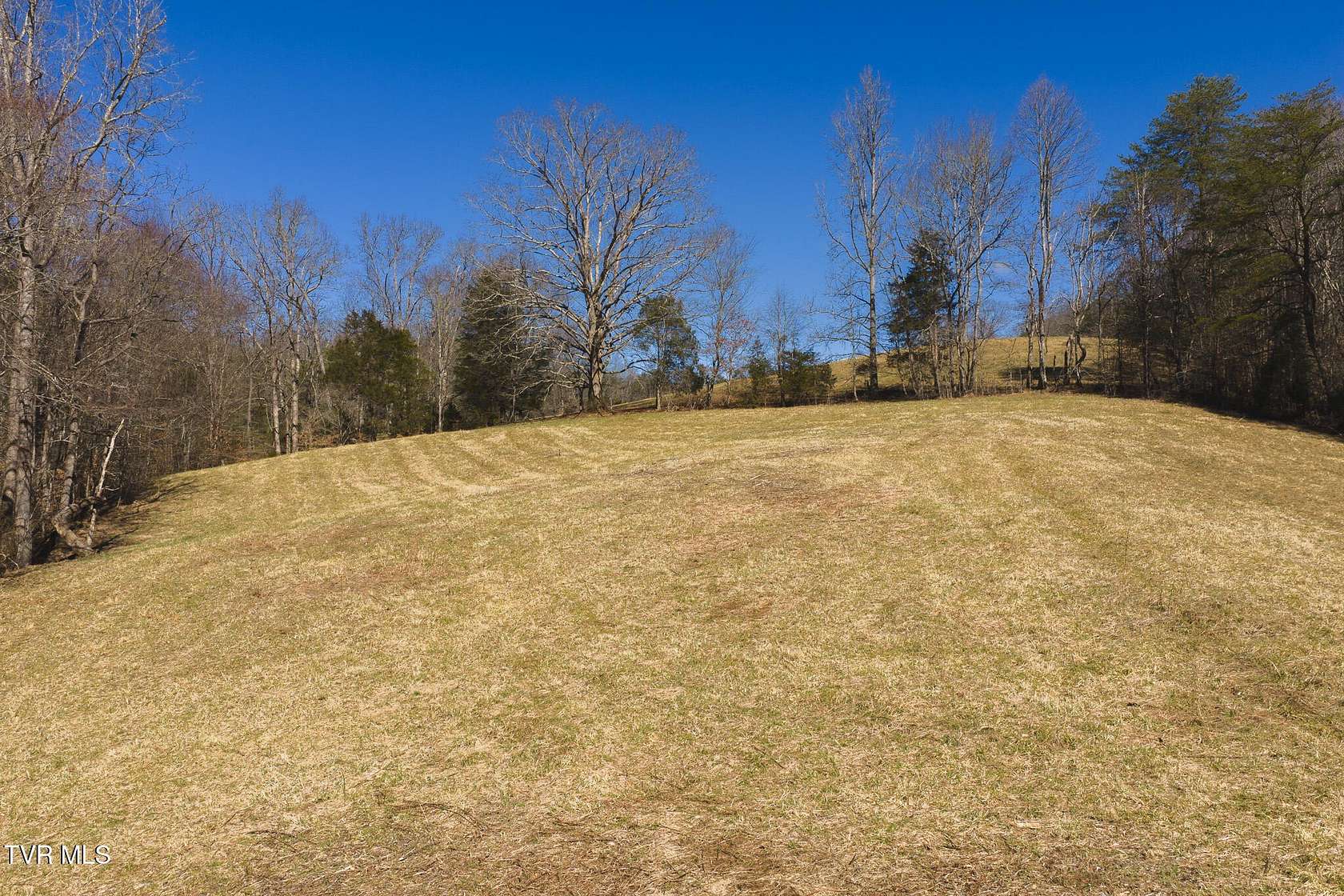 100 Acres of Land for Sale in Sneedville, Tennessee