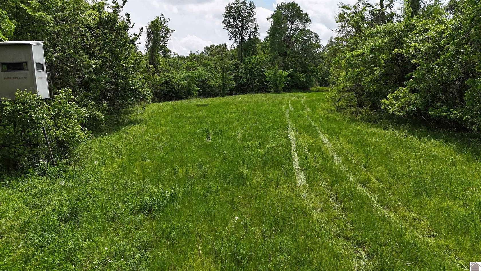 72 Acres of Land for Sale in Hickman, Kentucky