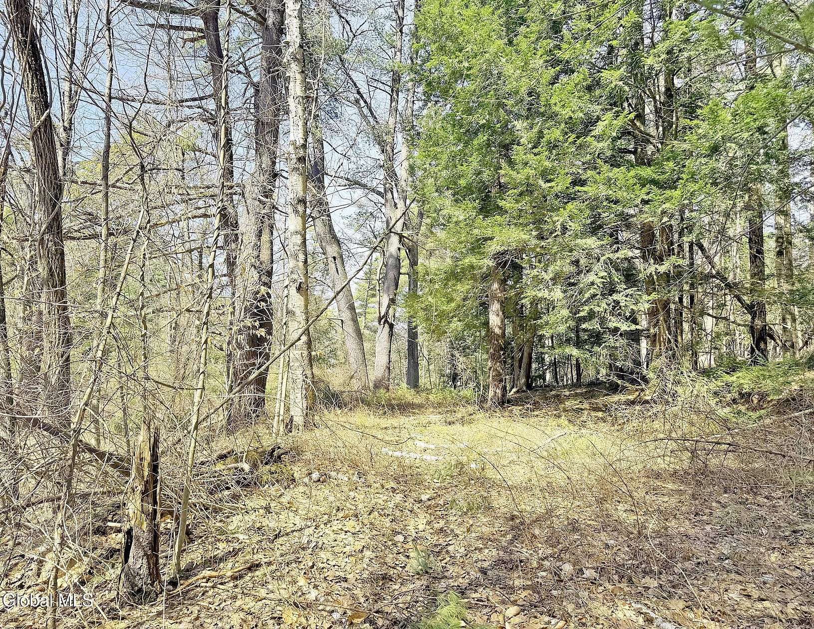 1 Acre of Land for Sale in Queensbury, New York