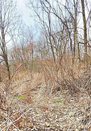 0.77 Acres of Residential Land for Sale in Conemaugh, Pennsylvania
