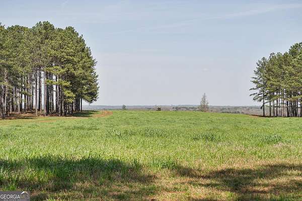 381 Acres of Agricultural Land for Sale in Forsyth, Georgia