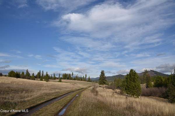 185 Acres of Land for Sale in Santa, Idaho