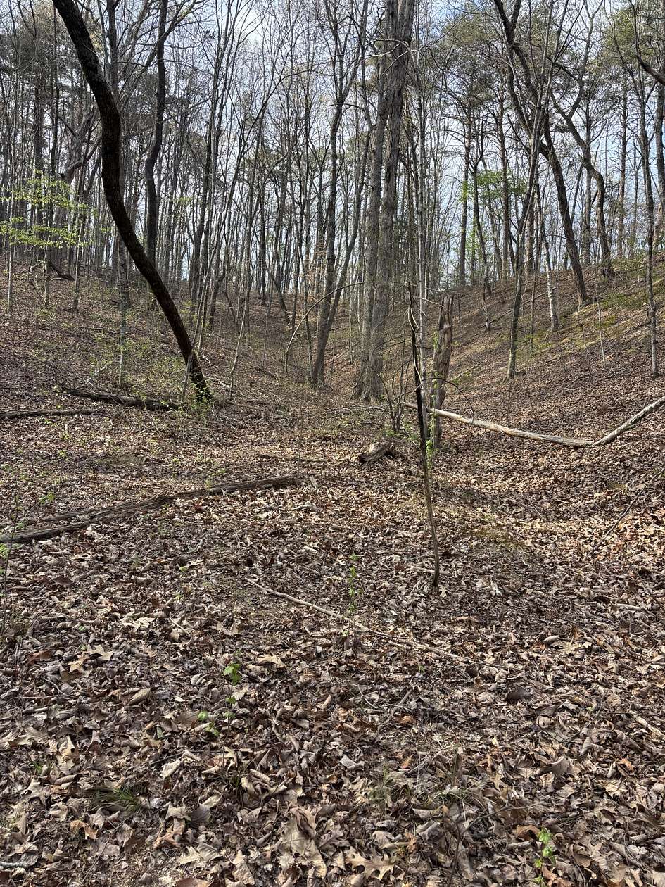 39.3 Acres of Land for Sale in Bakewell, Tennessee