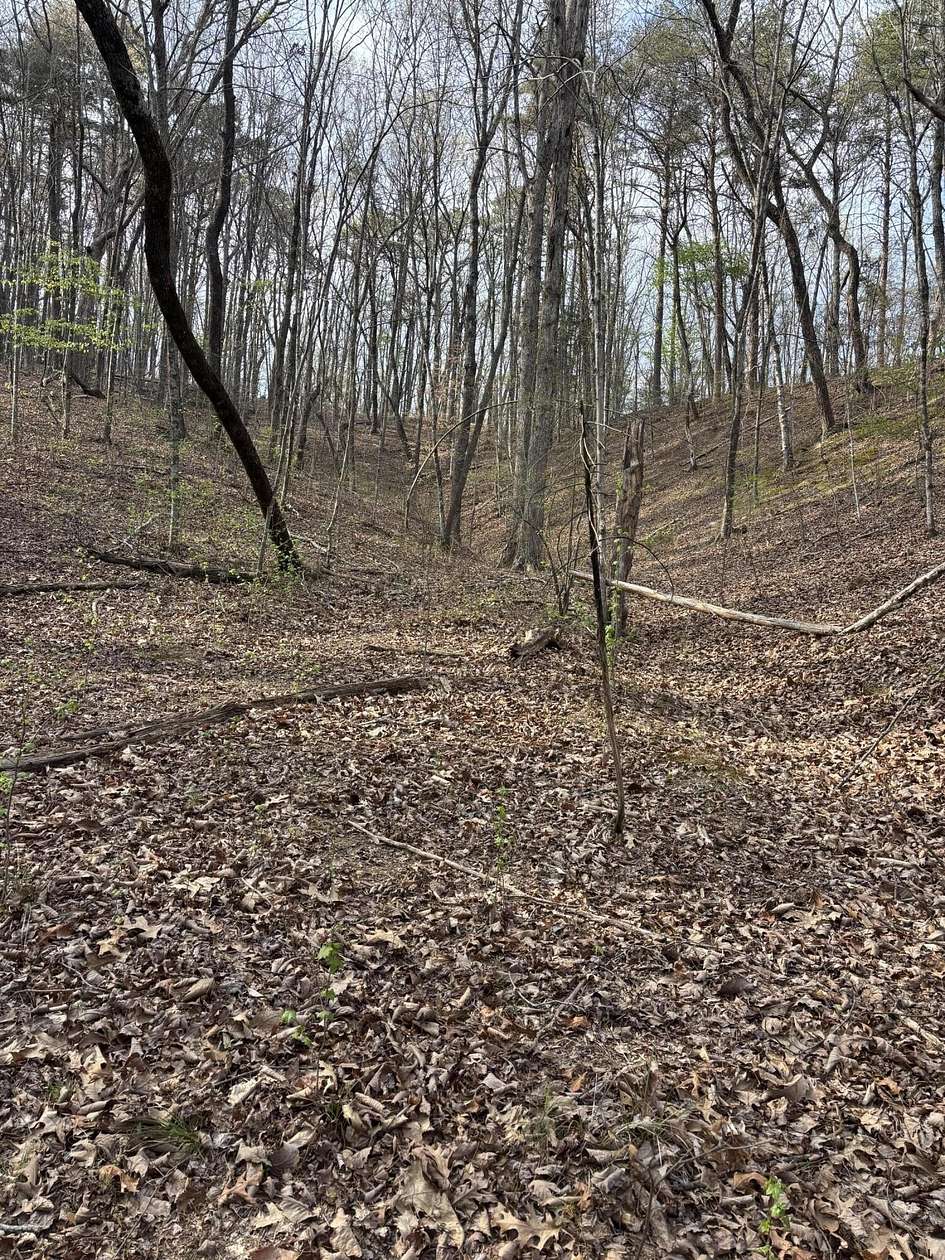 39.3 Acres of Recreational & Residential Land for Sale in Sale Creek, Tennessee