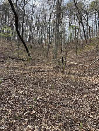 39.3 Acres of Recreational & Residential Land for Sale in Sale Creek, Tennessee