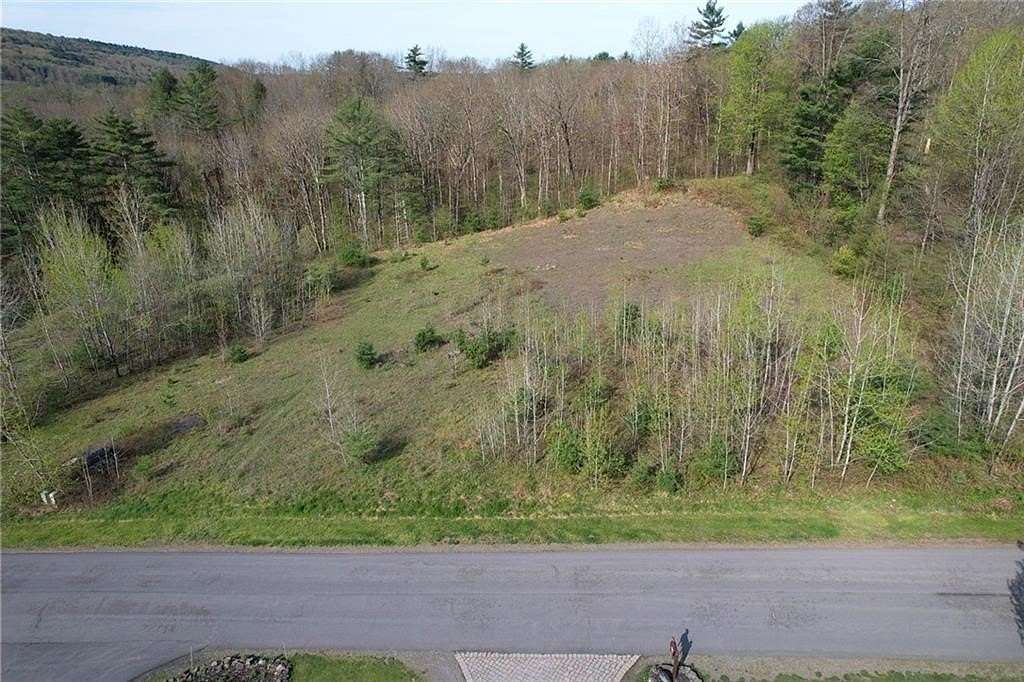1 Acre of Residential Land for Sale in Otego, New York