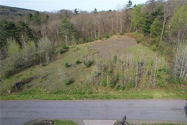 1 Acre of Residential Land for Sale in Otego, New York