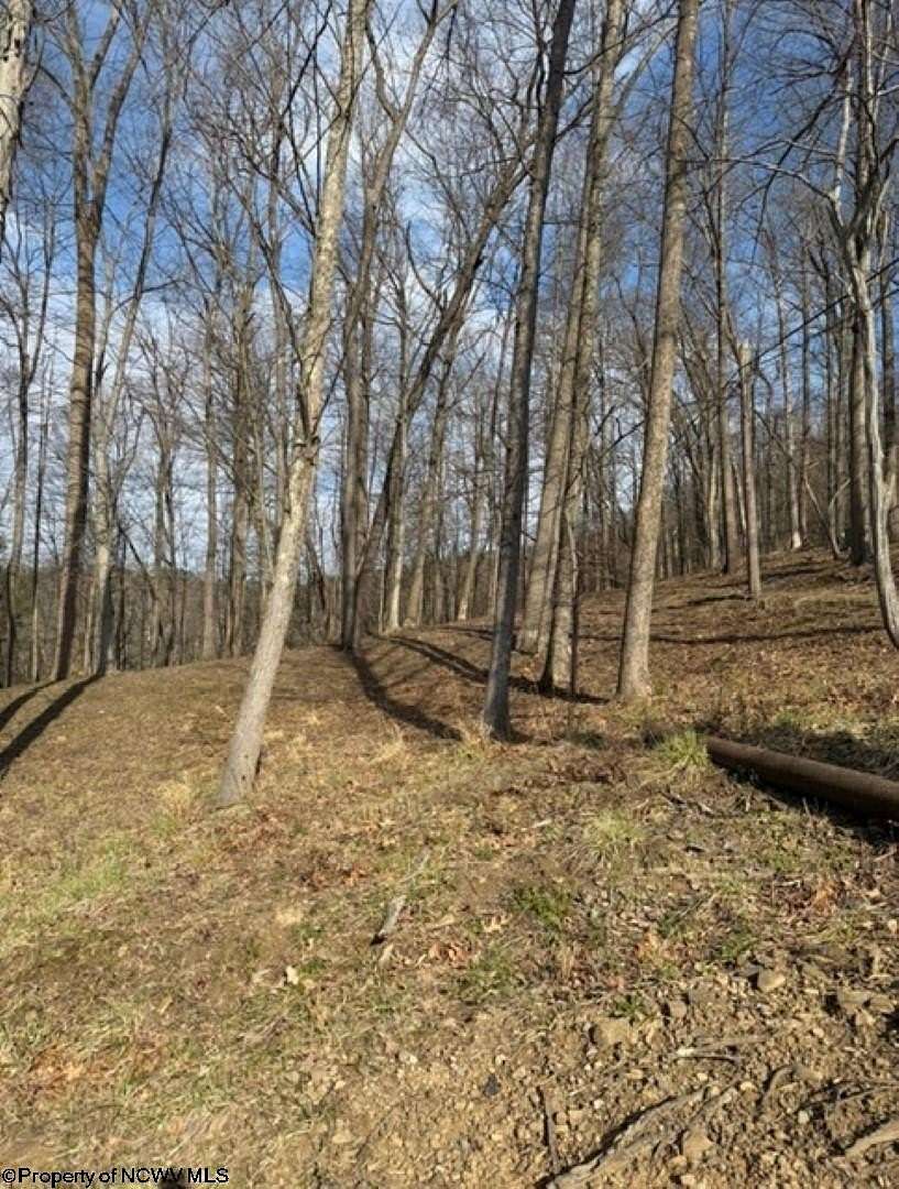 1.24 Acres of Residential Land for Sale in Bridgeport, West Virginia