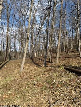 1.24 Acres of Residential Land for Sale in Bridgeport, West Virginia