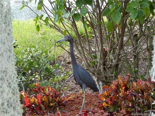 0.06 Acres of Land for Sale in Port St. Lucie, Florida