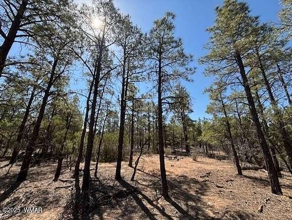 0.96 Acres of Residential Land for Sale in Show Low, Arizona