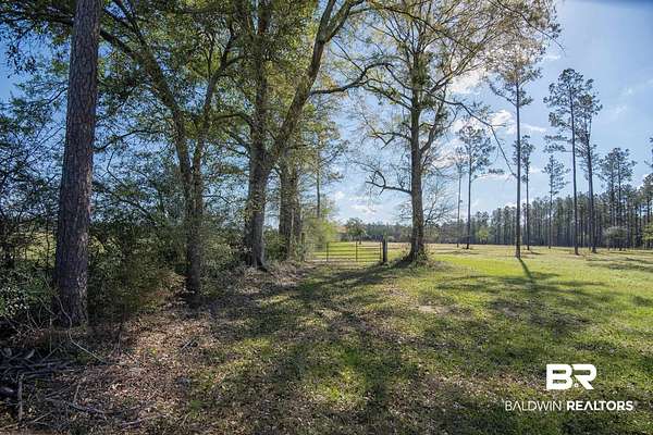 10 Acres of Agricultural Land for Sale in Robertsdale, Alabama
