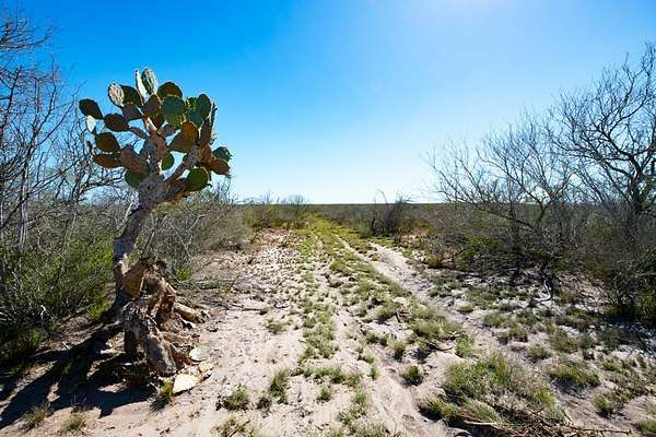 554 Acres of Recreational Land for Sale in Freer, Texas