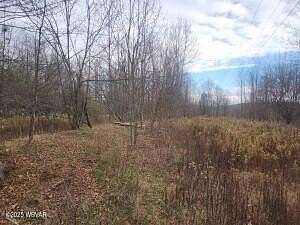 6.19 Acres of Land for Sale in New Albany, Pennsylvania