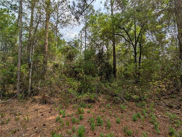 0.81 Acres of Residential Land for Sale in Citra, Florida